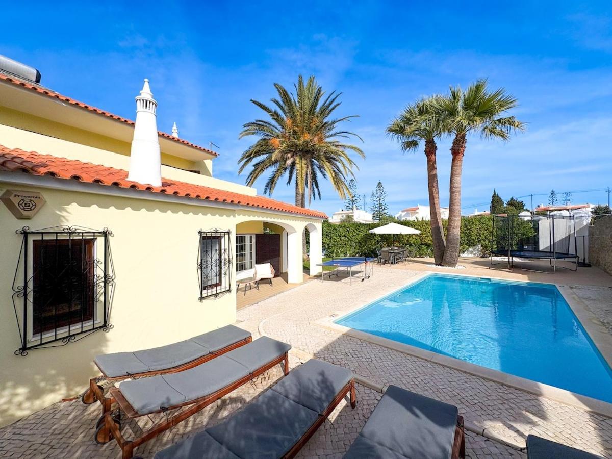 Villa Angelica - Cozy